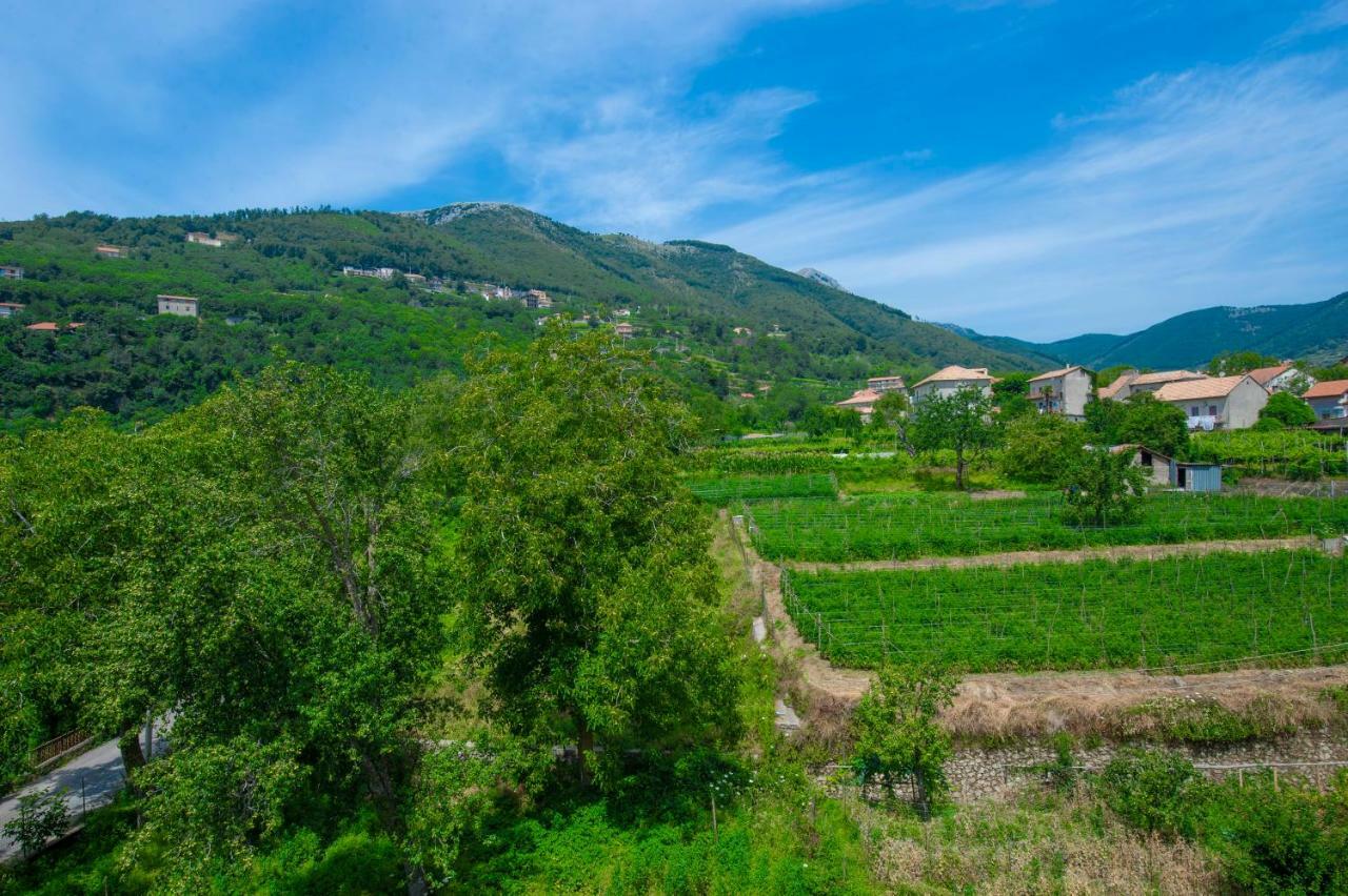 Ferienwohnung Il Rifugio Sul Sentiero Agerola Exterior foto